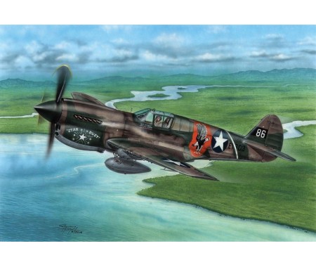 Special Hobby - SH72338 - P-40E Warhawk "Claws and Teeth"  - Hobby Sector