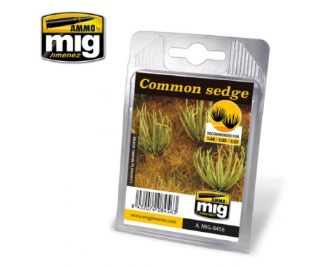 AMMO MIG - A.MIG-8456 - Common Sedge  - Hobby Sector