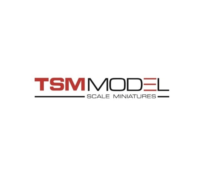 TSM - TrueScale Miniatures